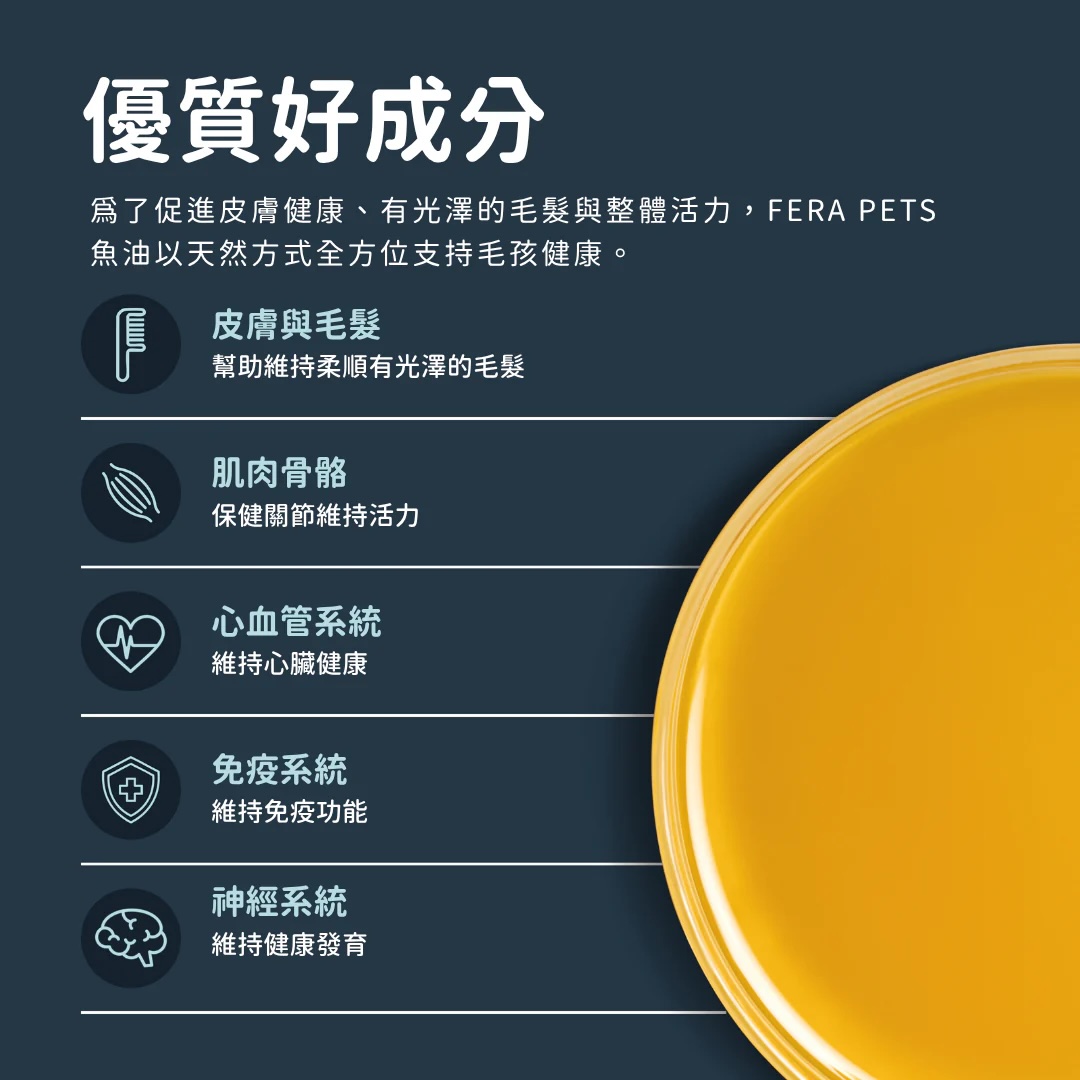 5_4aa03eff-0ccd-4533-8005-c43d299e3016