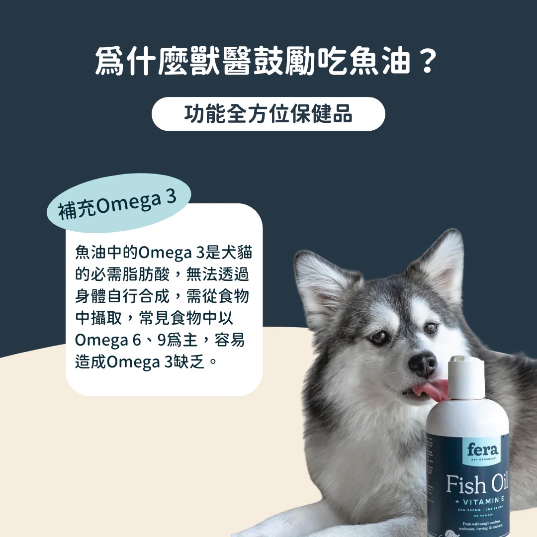 10_e09510f1-c09d-429f-8b99-44c6aab46a52