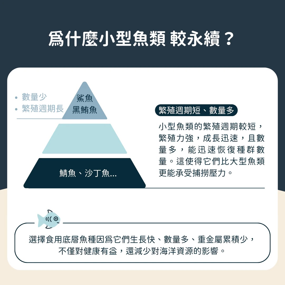 16_6492dc83-7e08-4f49-8b06-624e3cacb719