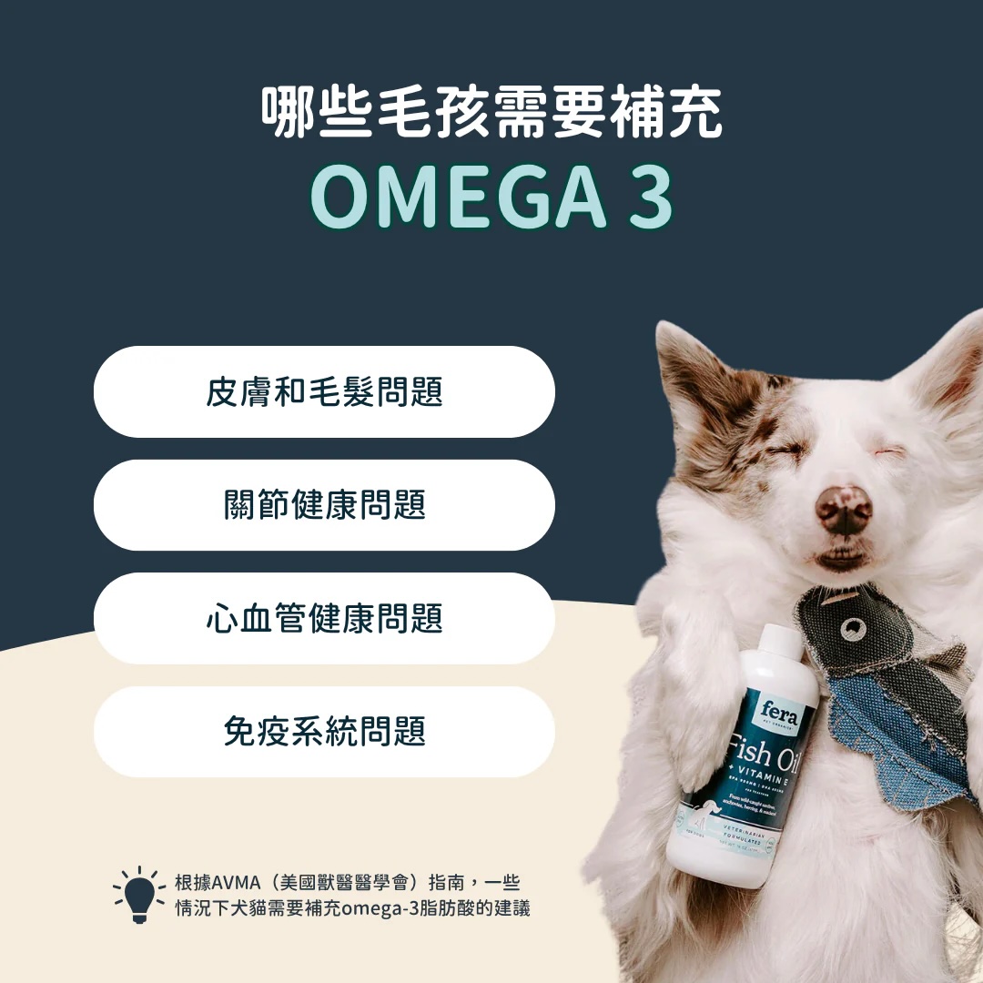 13_2e6d969c-e48b-4723-ba4c-7ba3844beefb