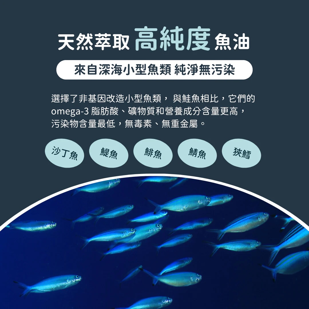 14_042af47c-bd70-4b68-96af-e4f8d1d048bd