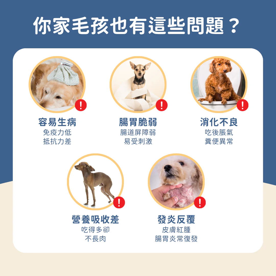 3_69d60fe3-4da7-4815-9b33-3d35349bf544