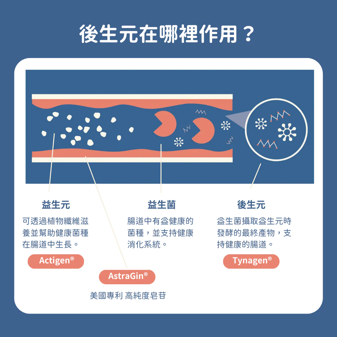 13_47ab5551-b32b-4c47-bd89-e9ec088e121c