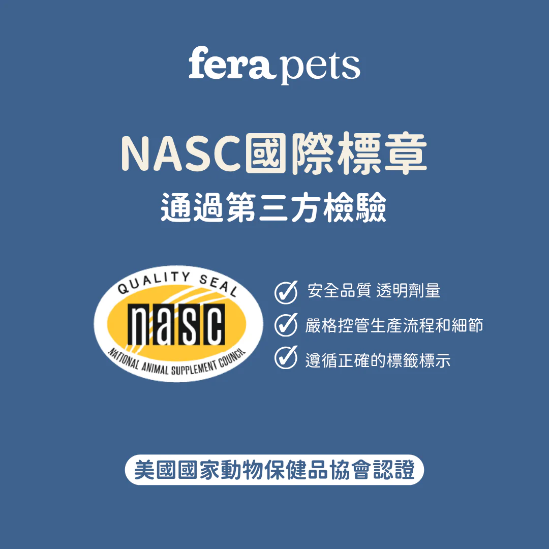 19_d1572fb4-d32b-4efe-b78e-9bb9247576fb