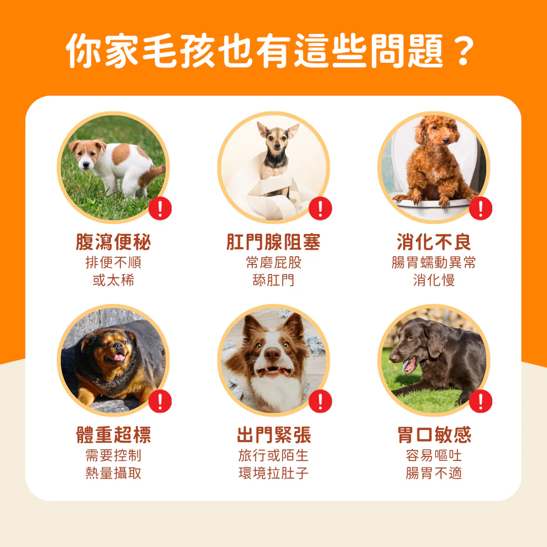 3_fec50552-9024-4b91-b3a8-6aa2b0ef945c