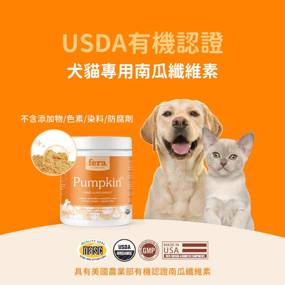 13_271c7bd6-5380-4b00-9dcf-4de6c12d1d12