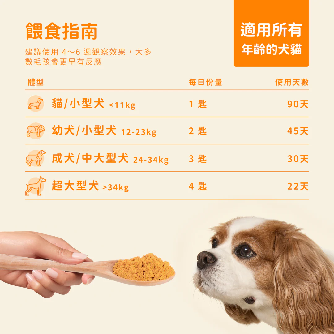 19_c6acc08d-b8e1-4bec-9f18-4e1d18d0d615