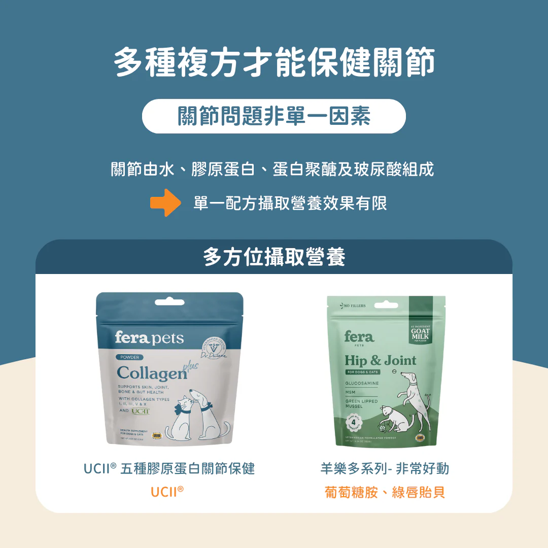 14_900b1c5b-8747-432a-b2e5-6ef92301cab8