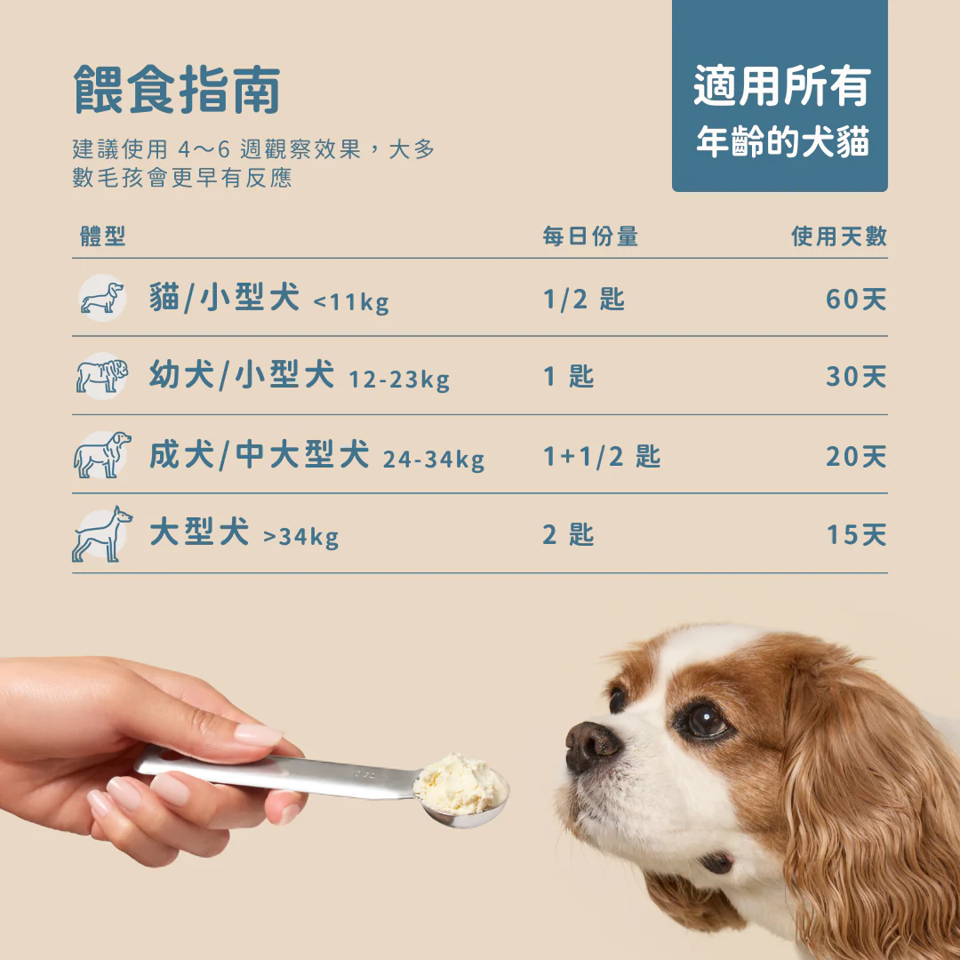 19_6c4629a0-f0b4-48be-a16f-8fbc933b127c