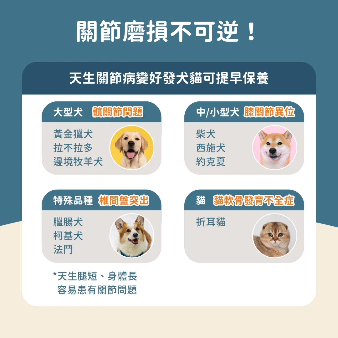 3_f360ab7b-79ab-44ec-97e9-4b8a6e79dbbb