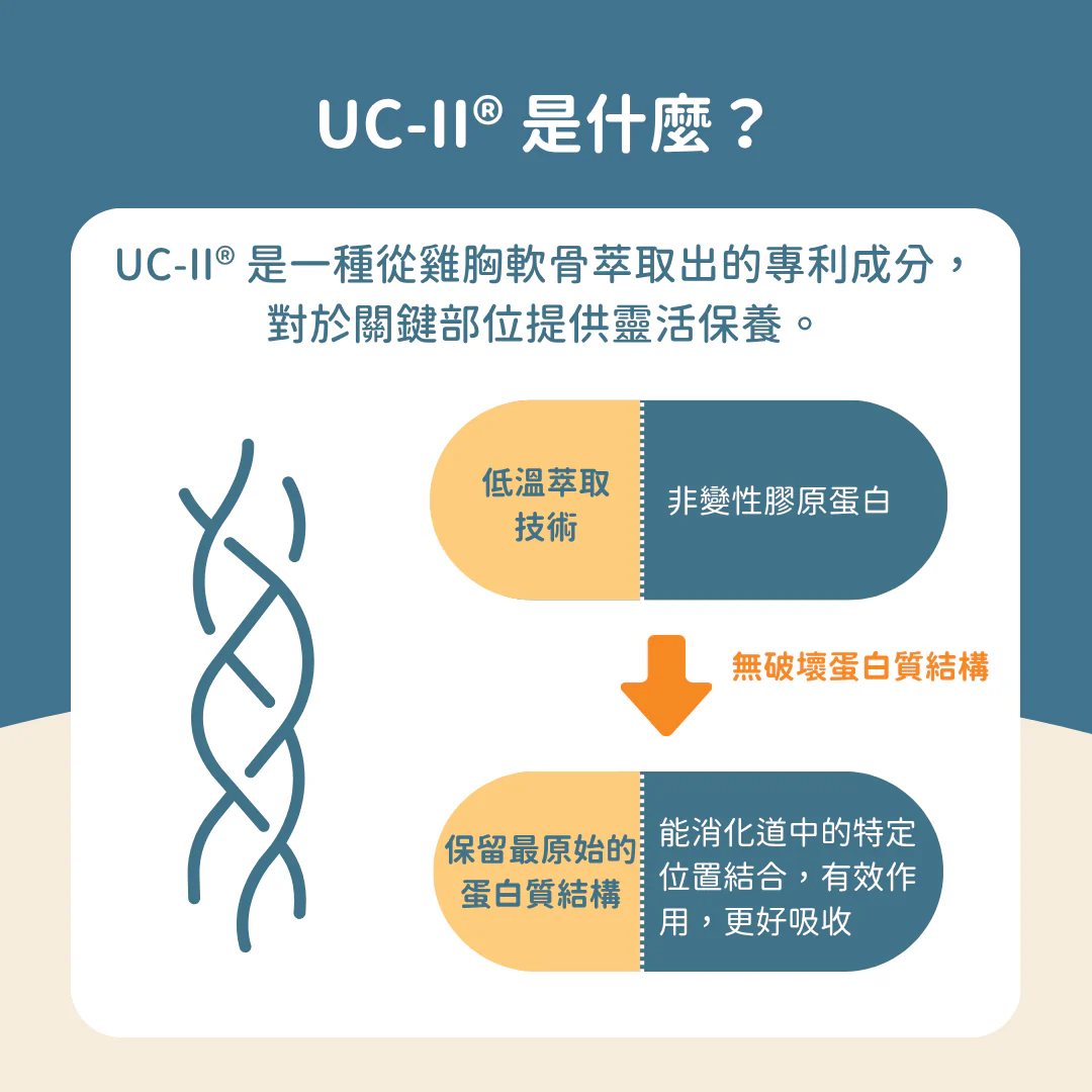 12_f9f34c63-ddec-47a5-a78c-3330fa6ea9db