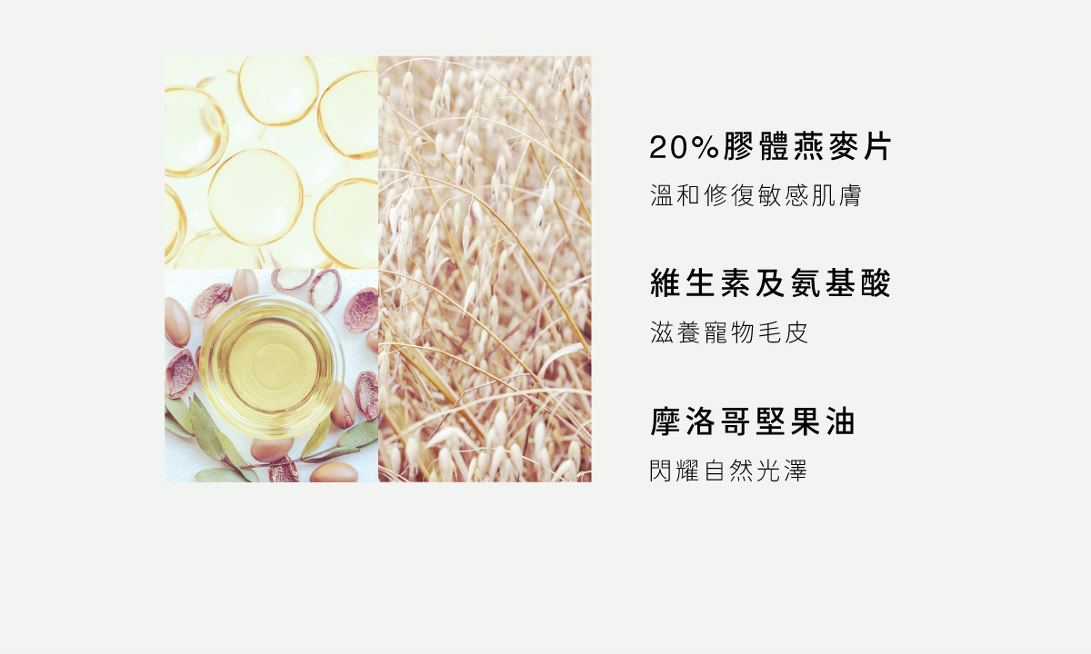 DOGGYPOTION_商品頁_Fresh_商品介紹2