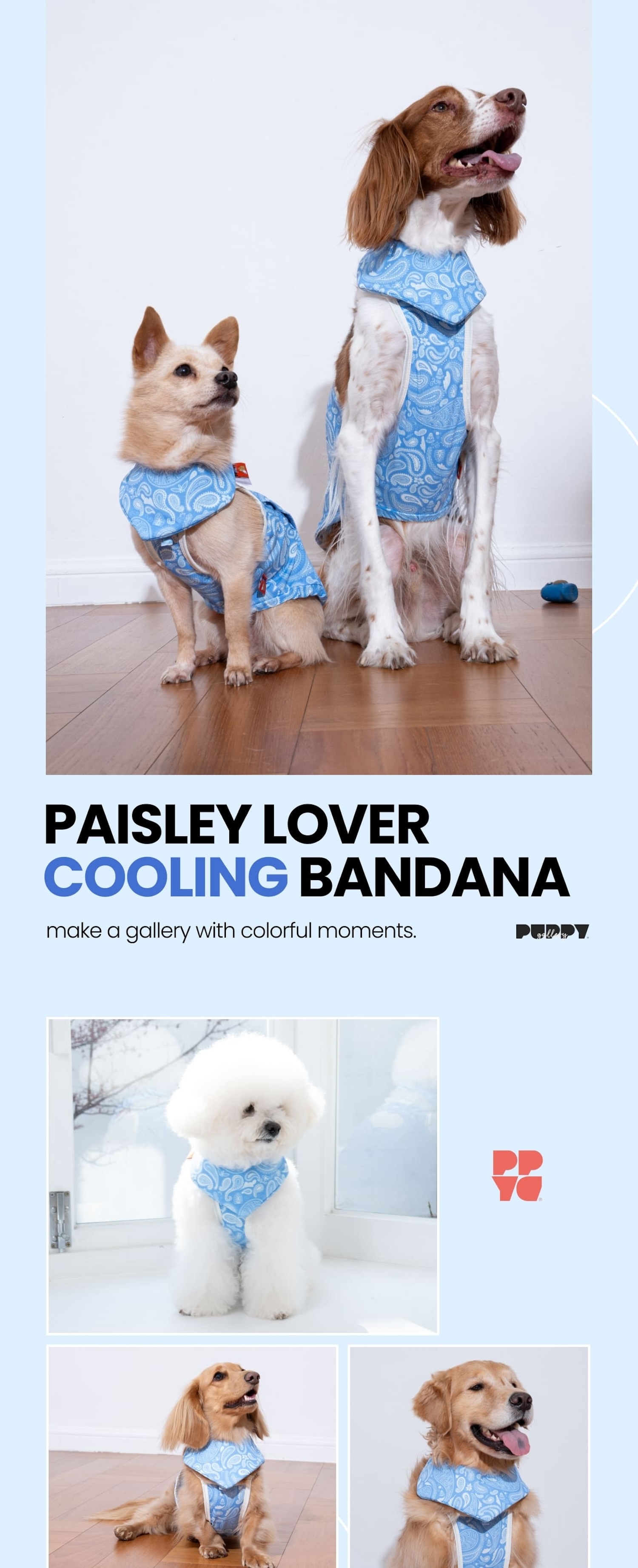paisley lover cooling bandana(blue)_01