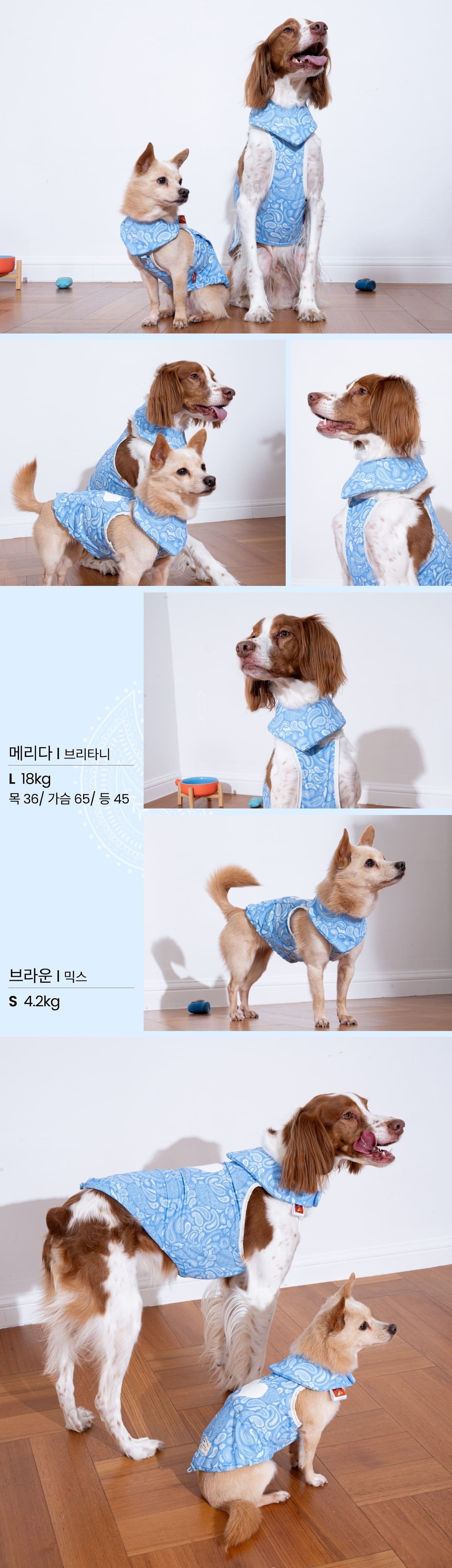 paisley lover cooling bandana(blue)_05 2