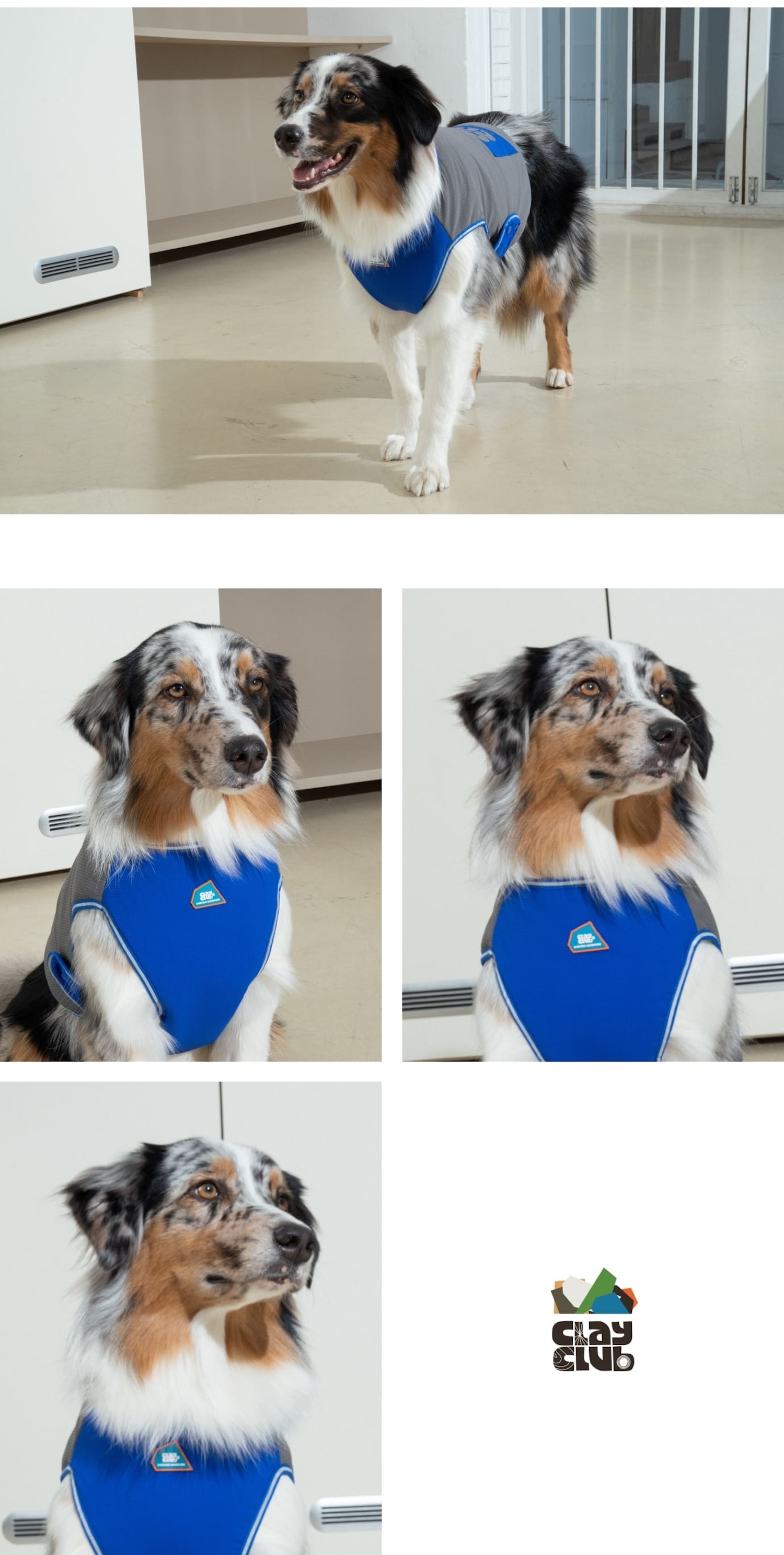 Clay 短版背心 藍灰介紹圖１４