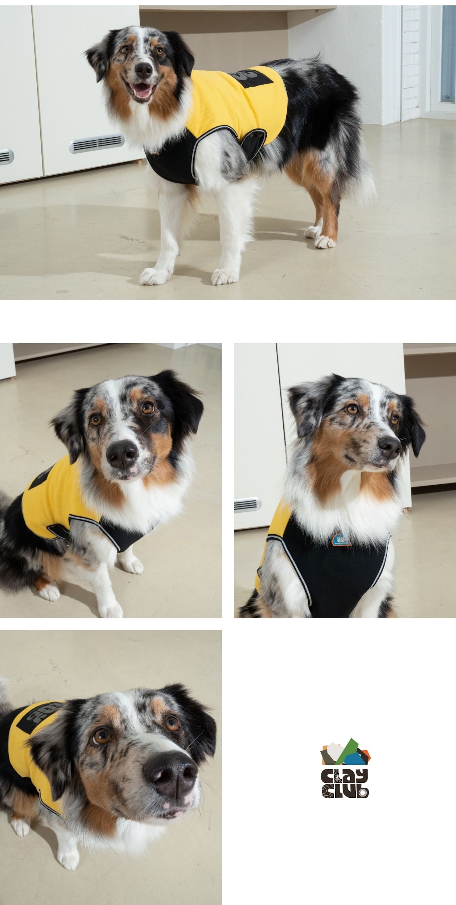 Clay 短版背心亮黃介紹圖１4