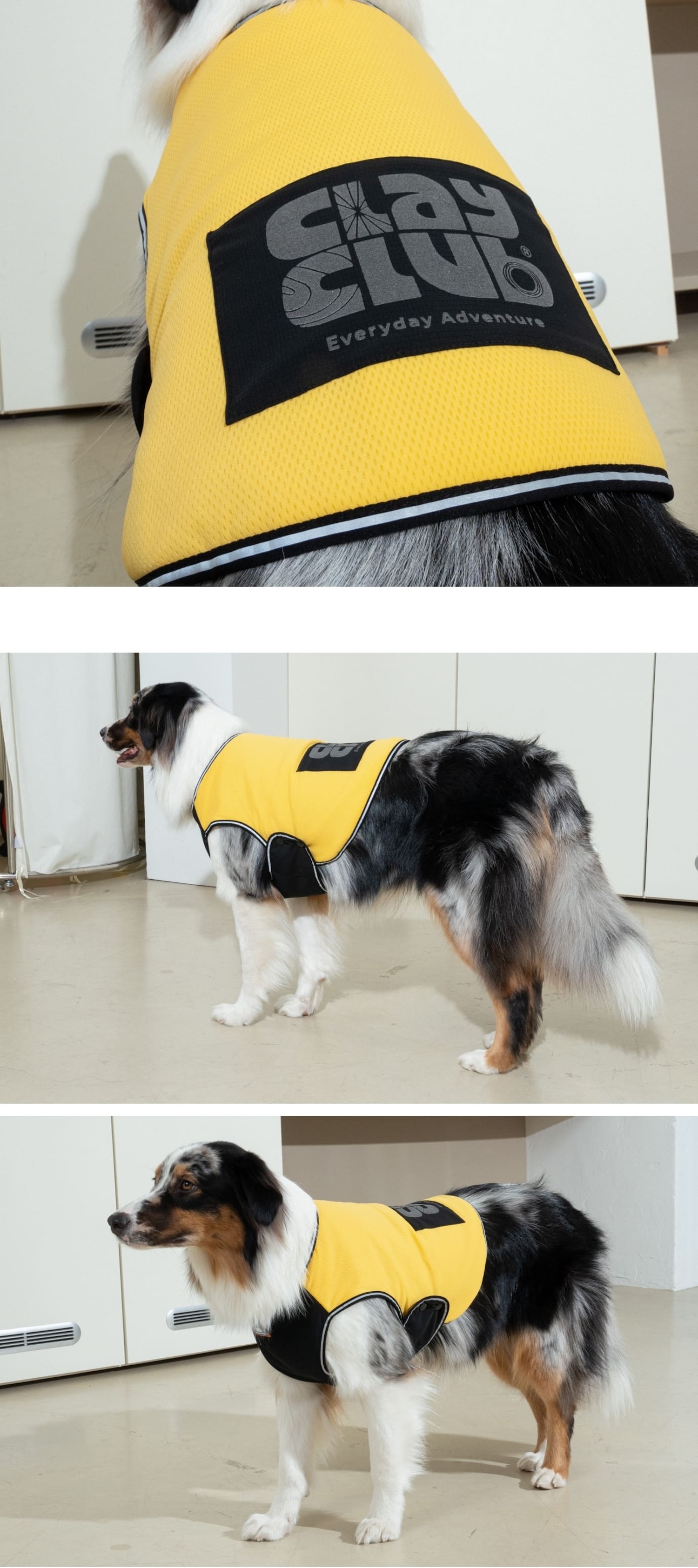 Clay 短版背心亮黃介紹圖１5