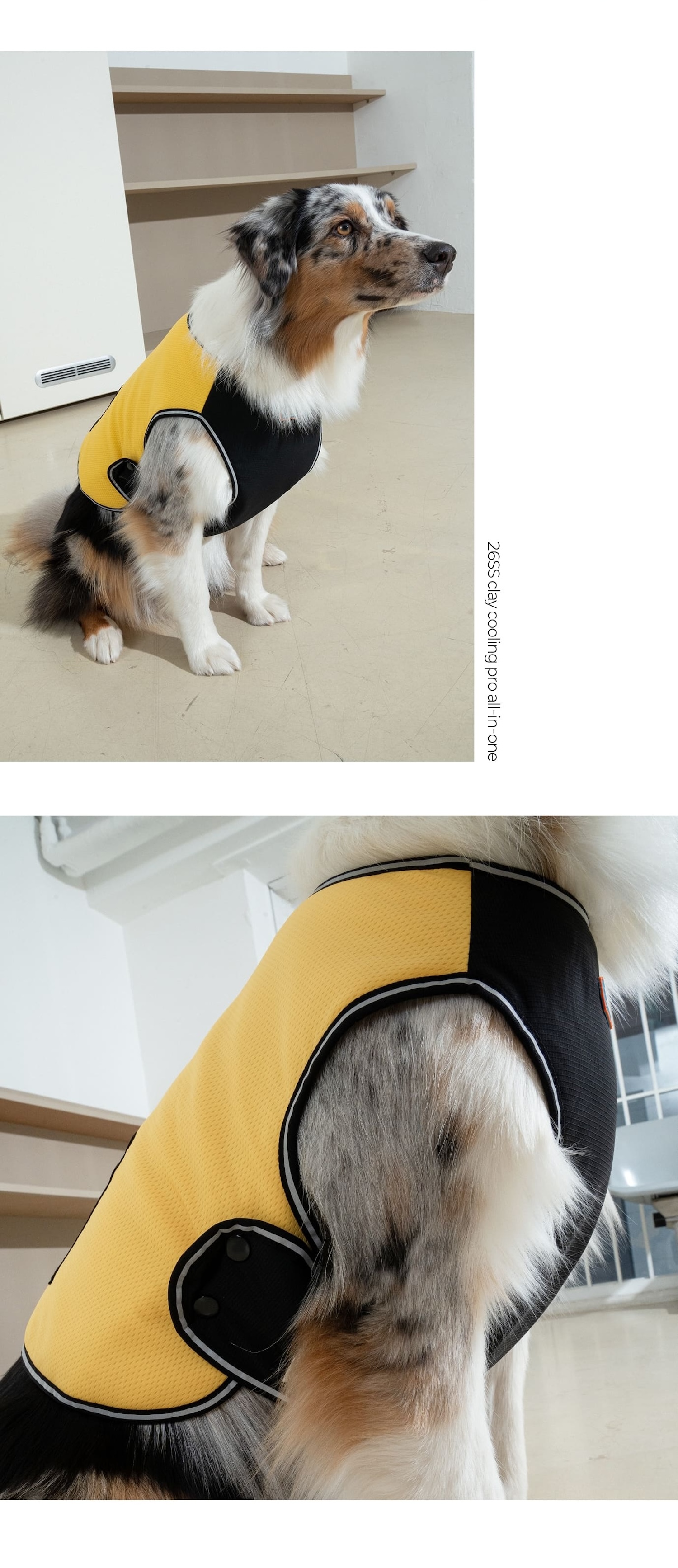 Clay 短版背心亮黃介紹圖１3