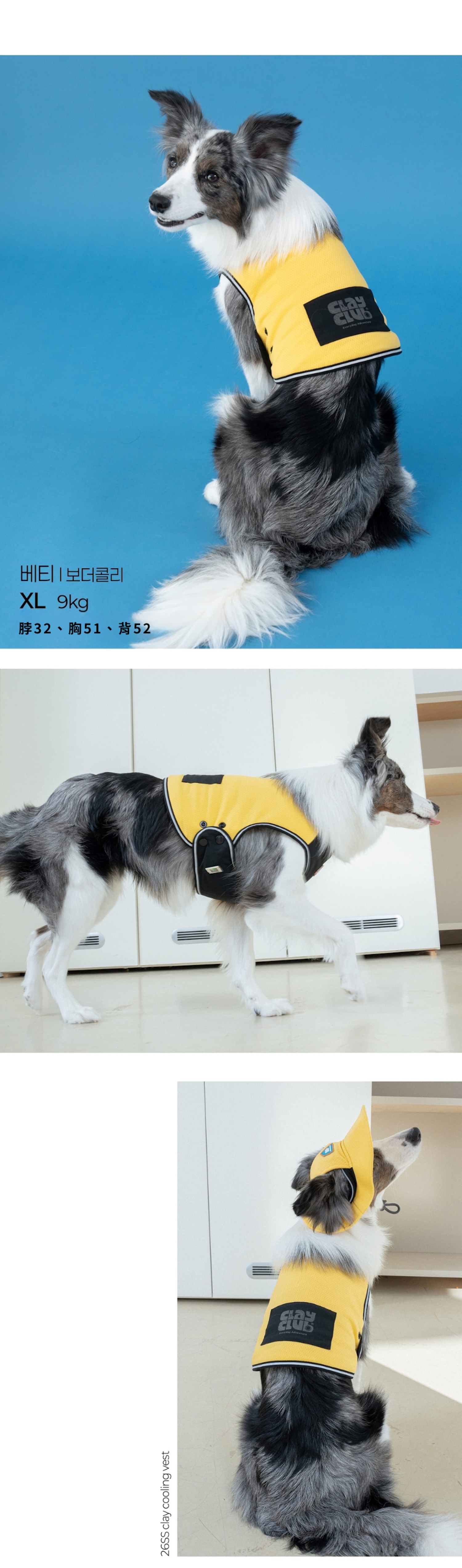 Clay 短版背心亮黃介紹圖１7