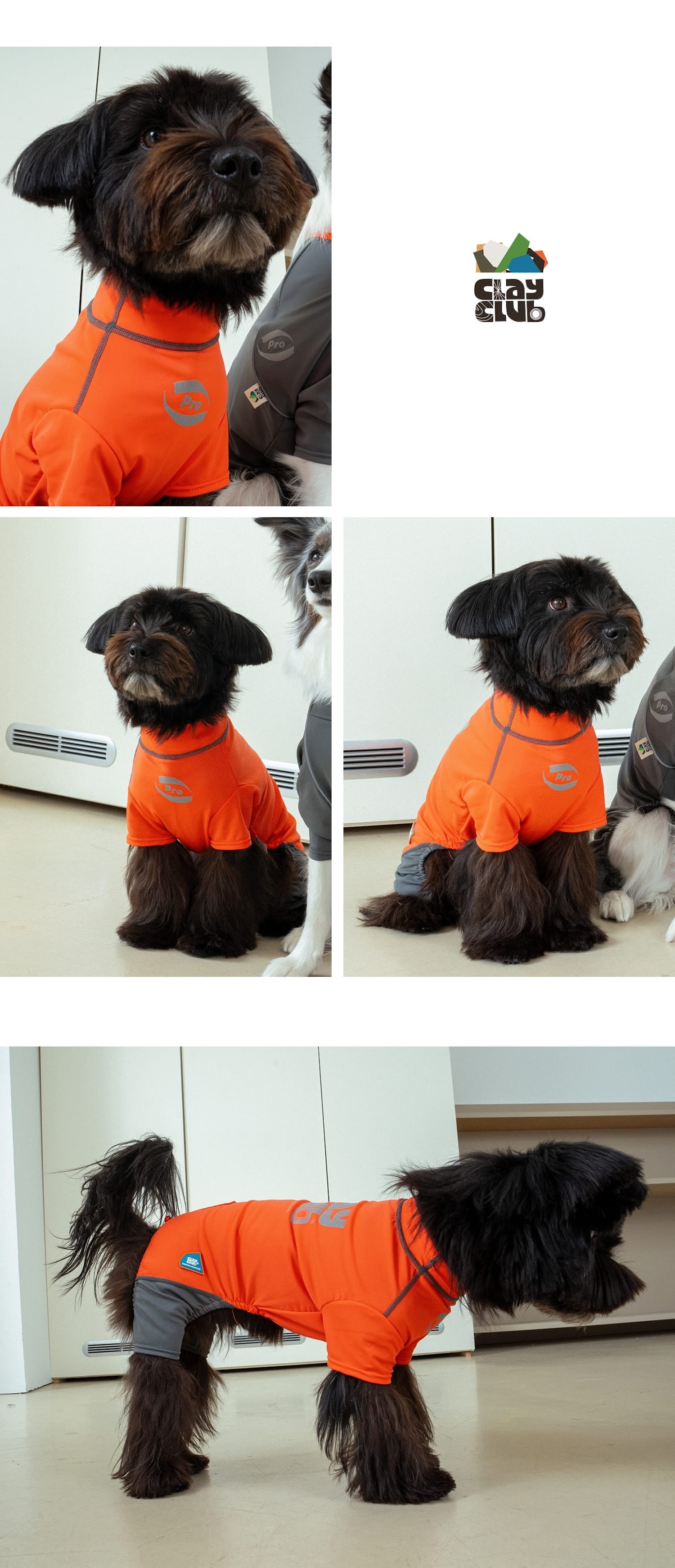 essential training suit short(orange)_06 (1)