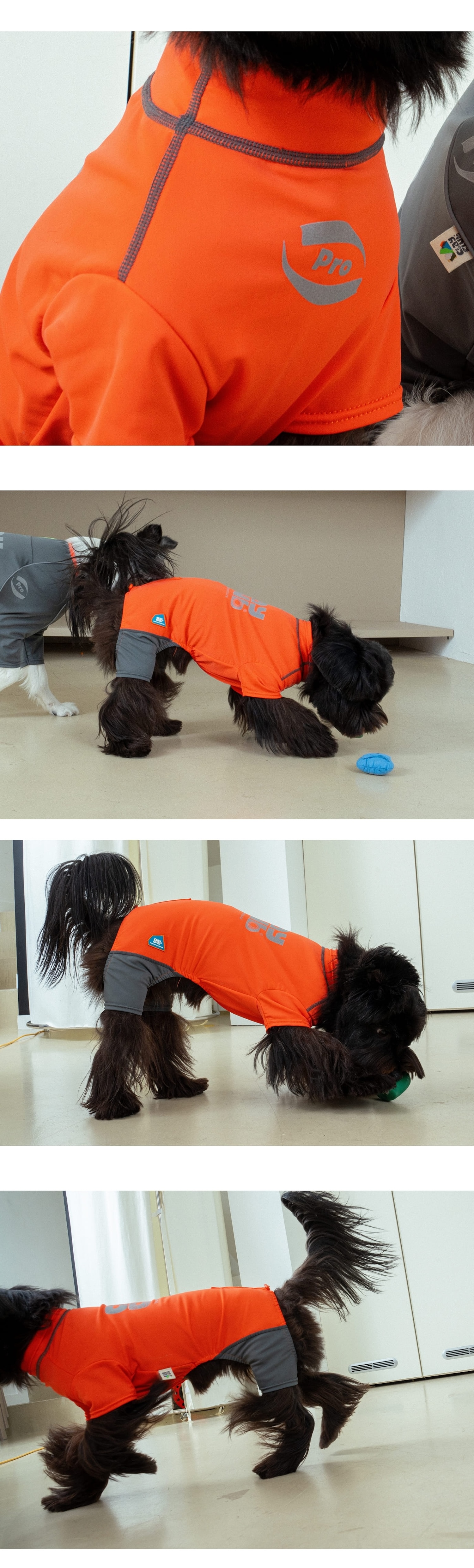 essential training suit short(orange)_06