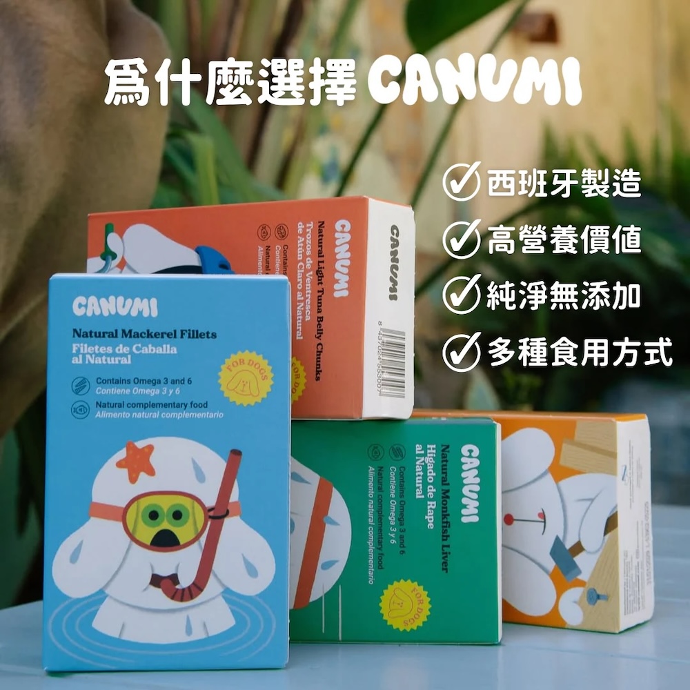 3_8626ee45-75b3-4cdd-a4c5-13e70d1d7f4d副本