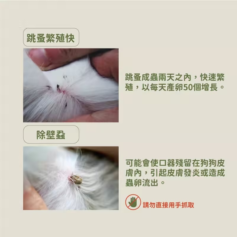 original-2.jpg (3)