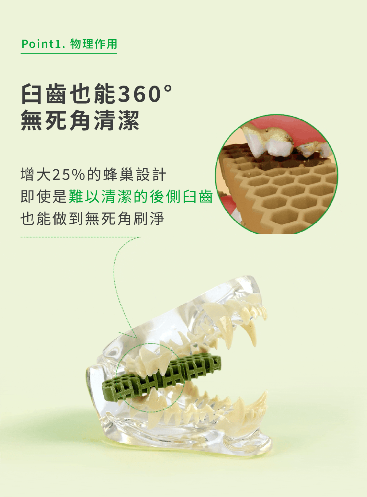 蜂巢六角潔牙骨 蔬菜 12-1 xx