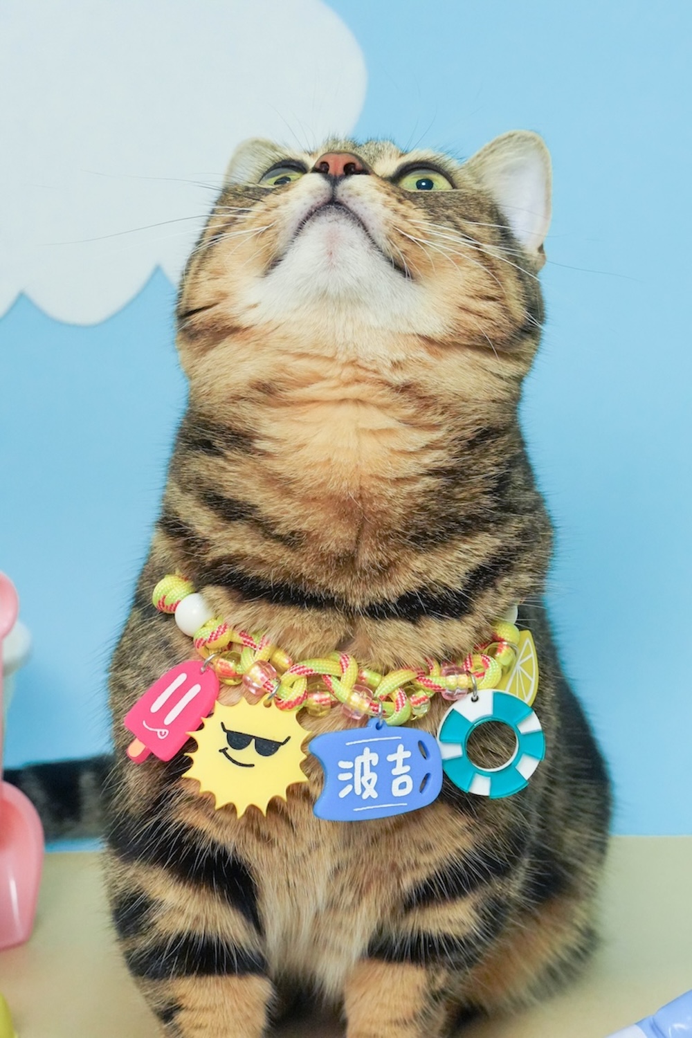 DSC05109拷貝