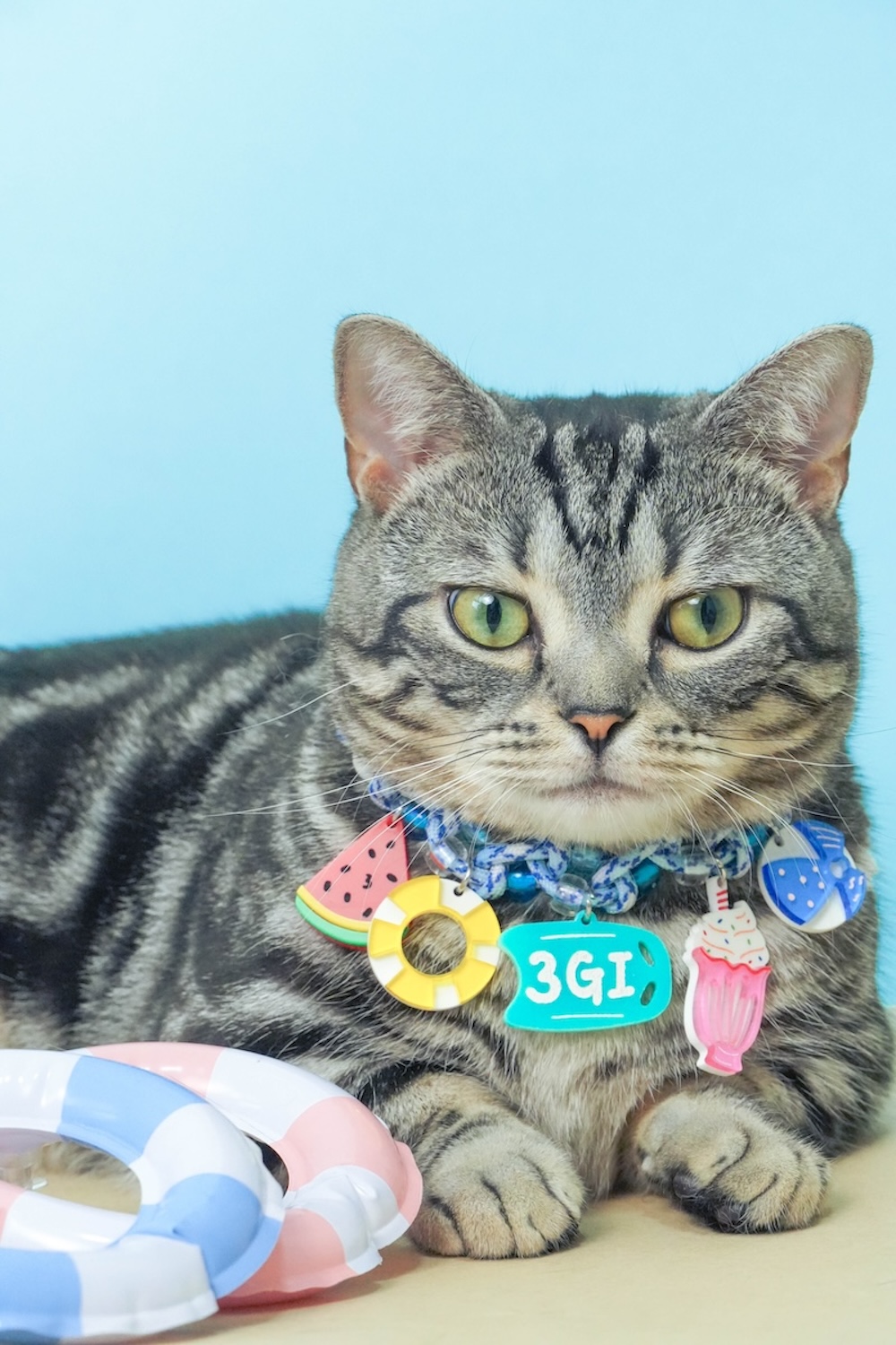 DSC05170拷貝