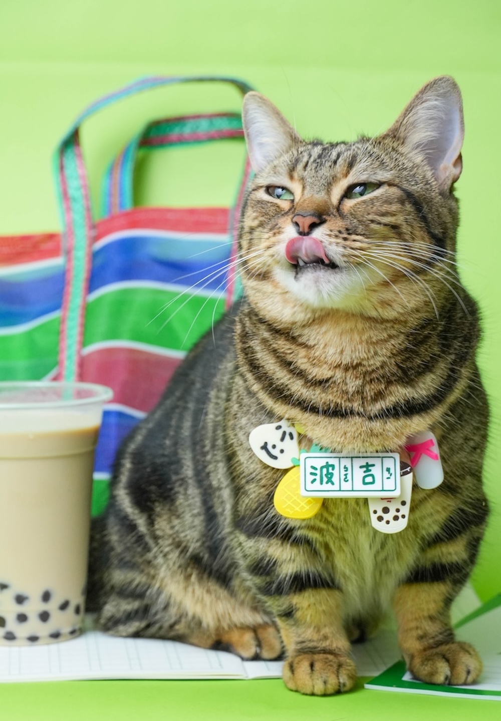 DSC04663拷貝