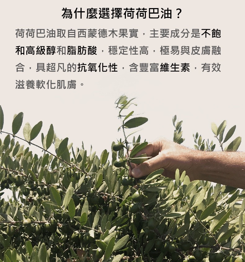 S__34193763.jpg