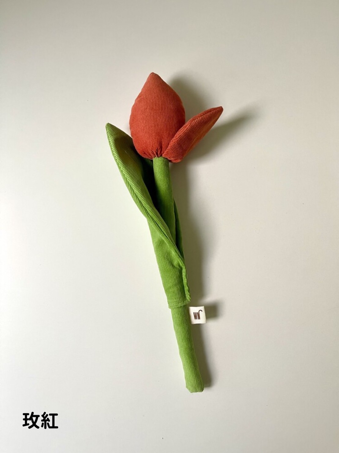 S__36053031.jpg