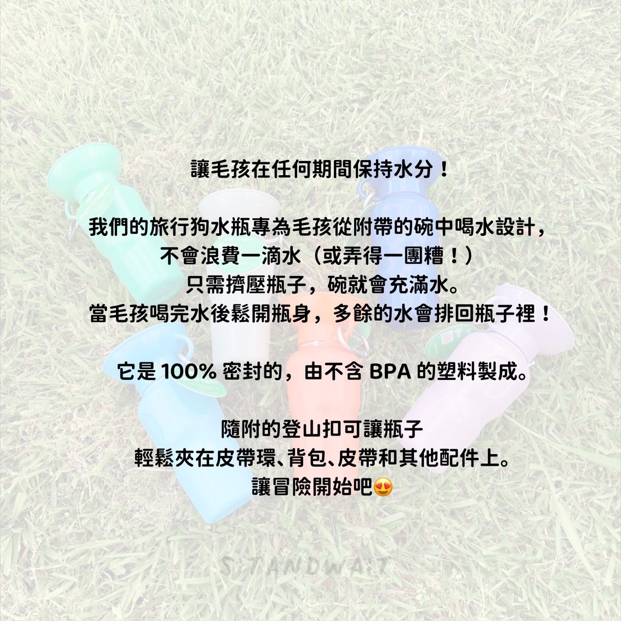 S__36184110.jpg