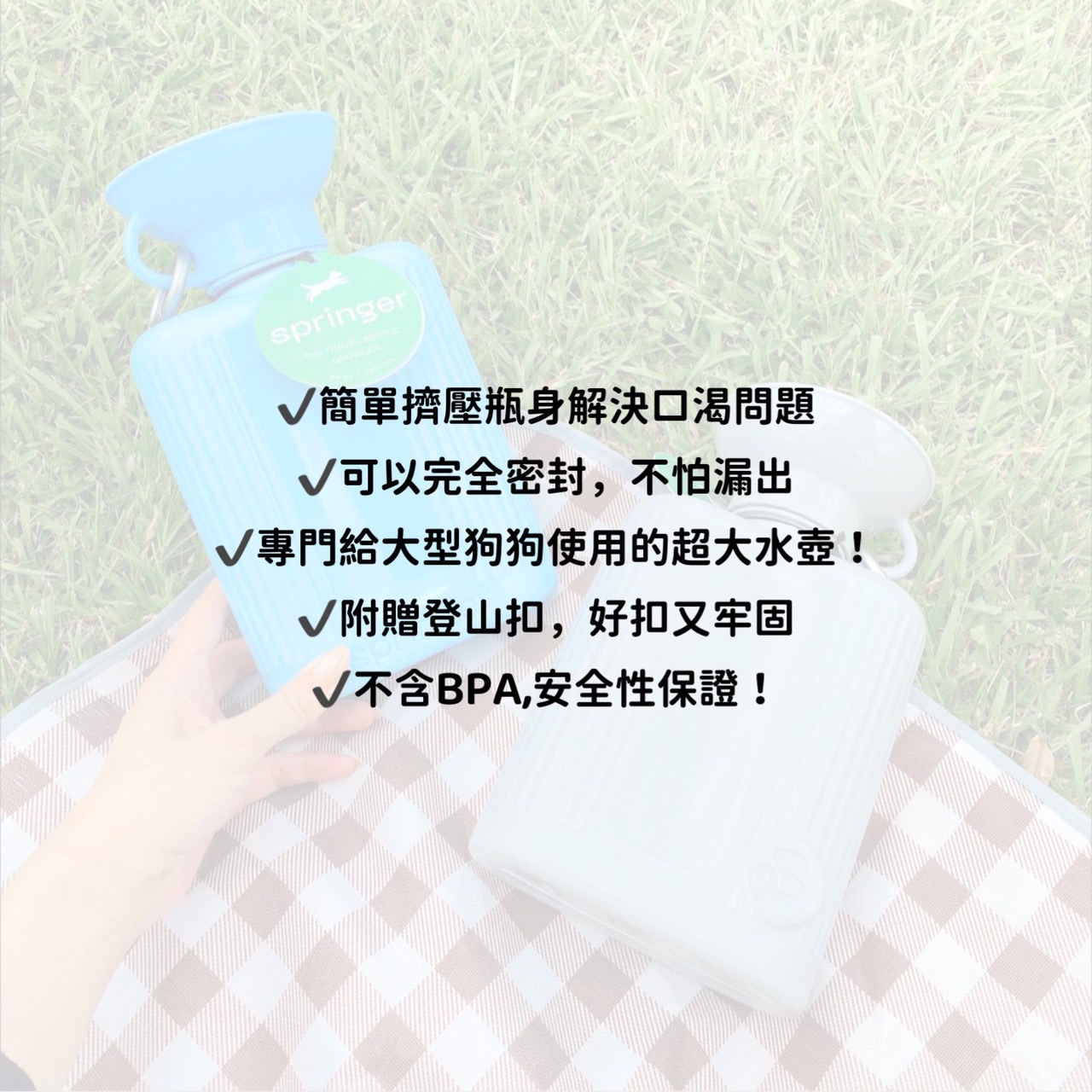 S__36192270.jpg