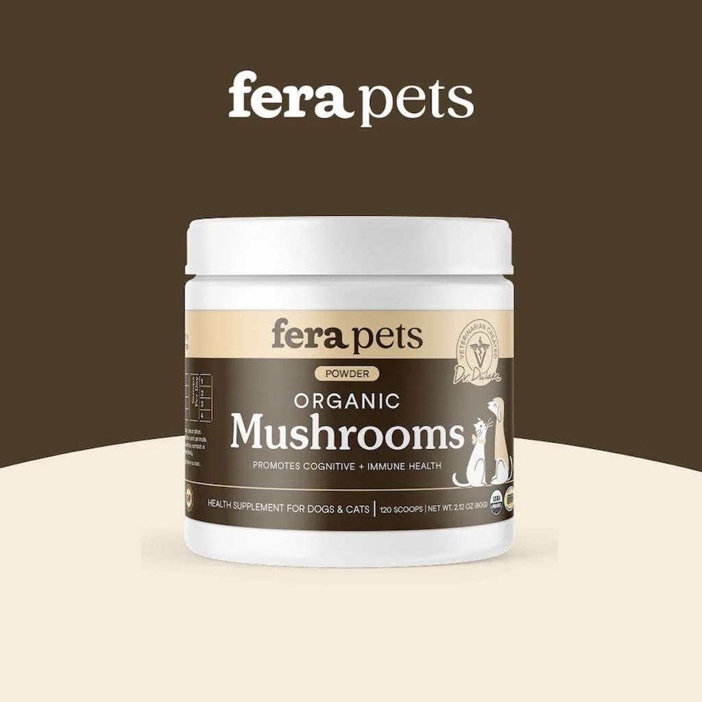 1_68b1097e-aa3f-45a2-886a-520bb728cb9d副本