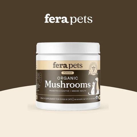 1_68b1097e-aa3f-45a2-886a-520bb728cb9d副本