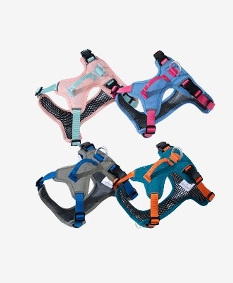 330_고멘텀하네스 (1)