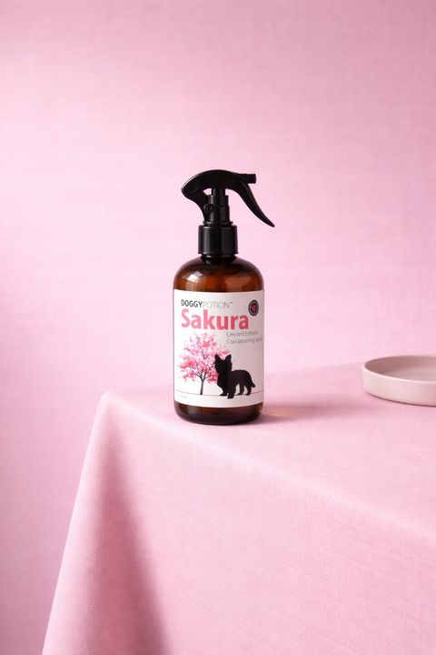 LINE_ALBUM_櫻花系列宣傳素材_260425_2