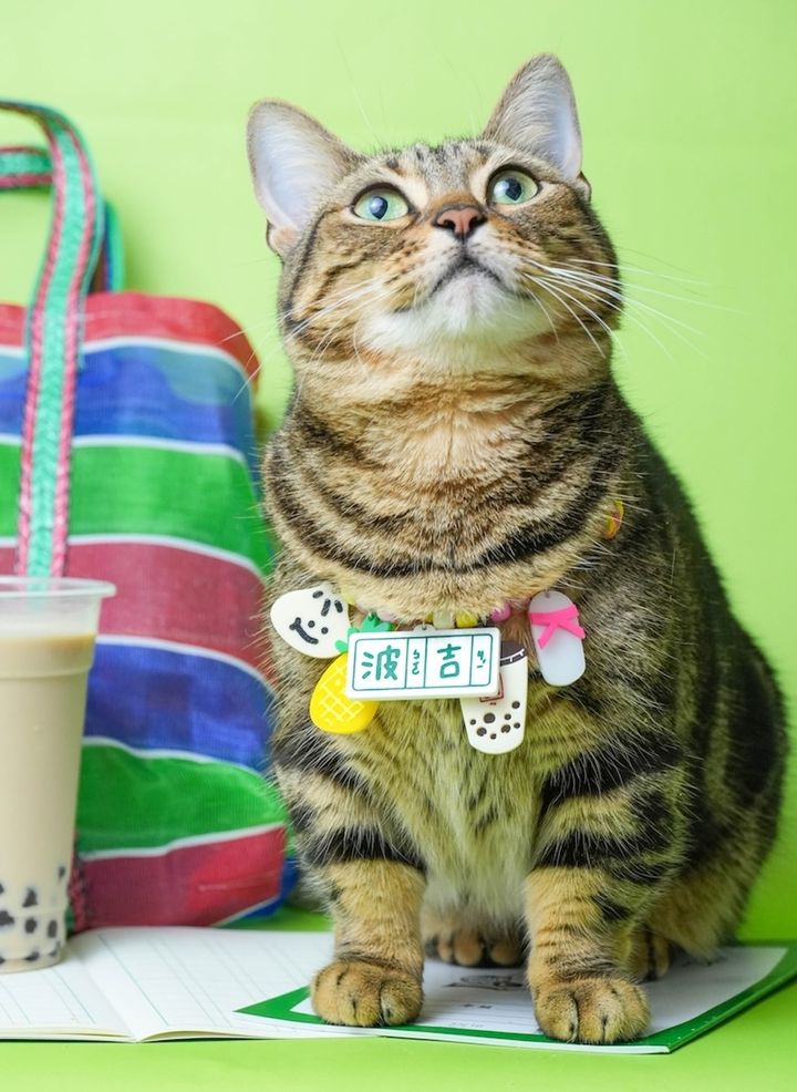 DSC04655拷貝