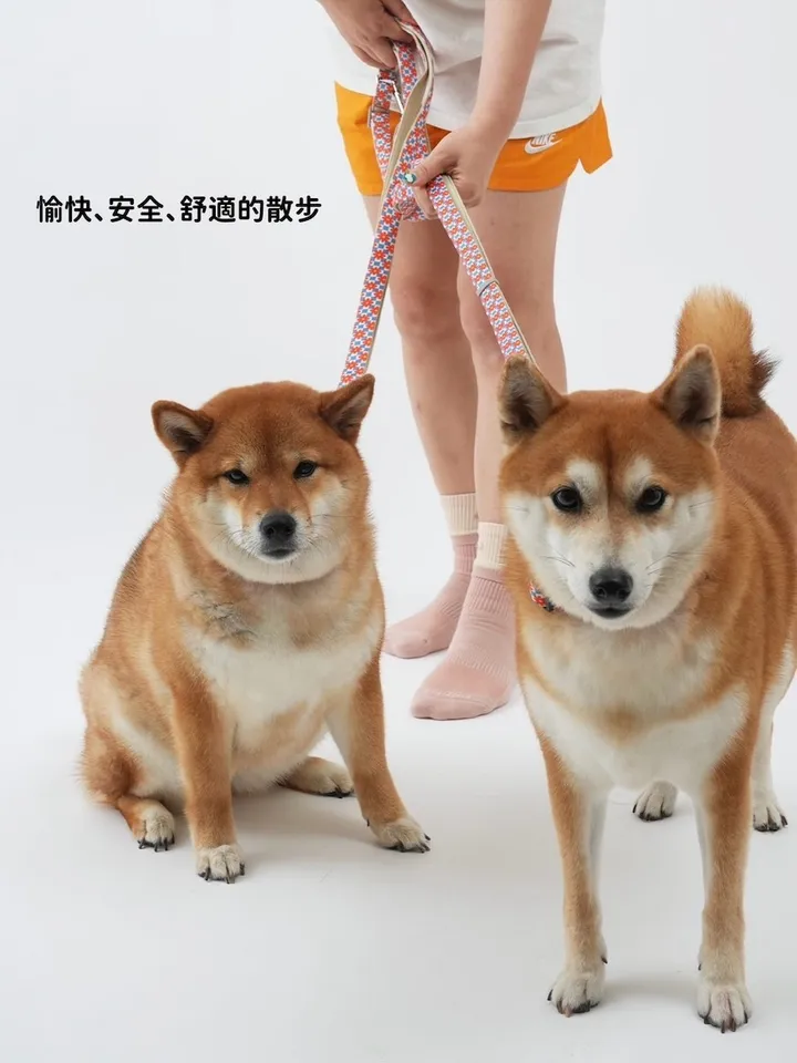 S__1277990_0