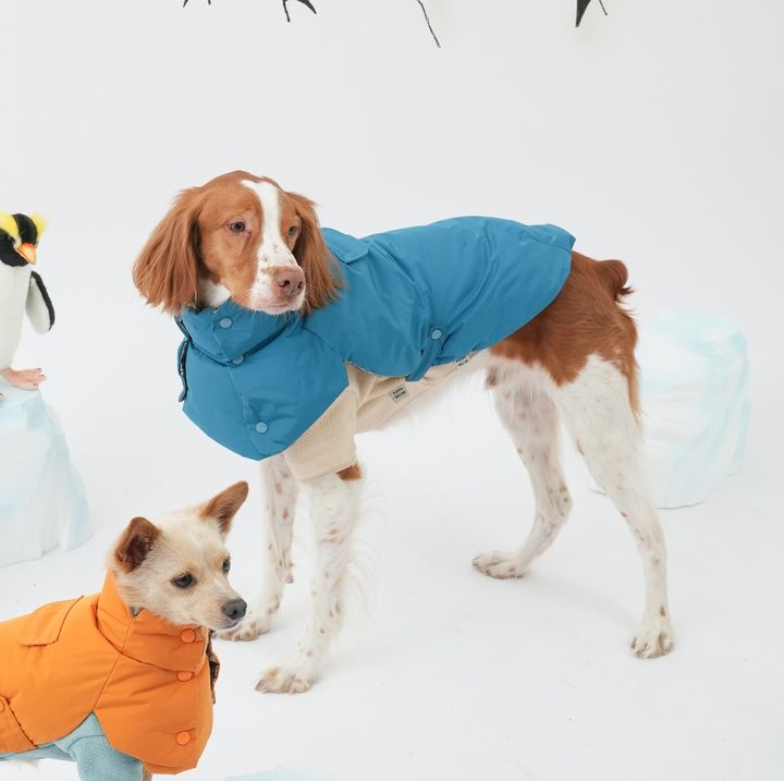 0620 PG_ 3056