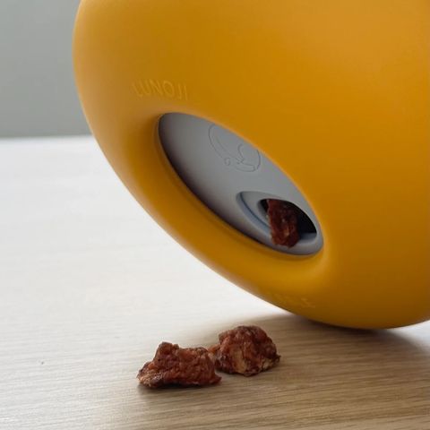 Pebble_with_treats_falling_out