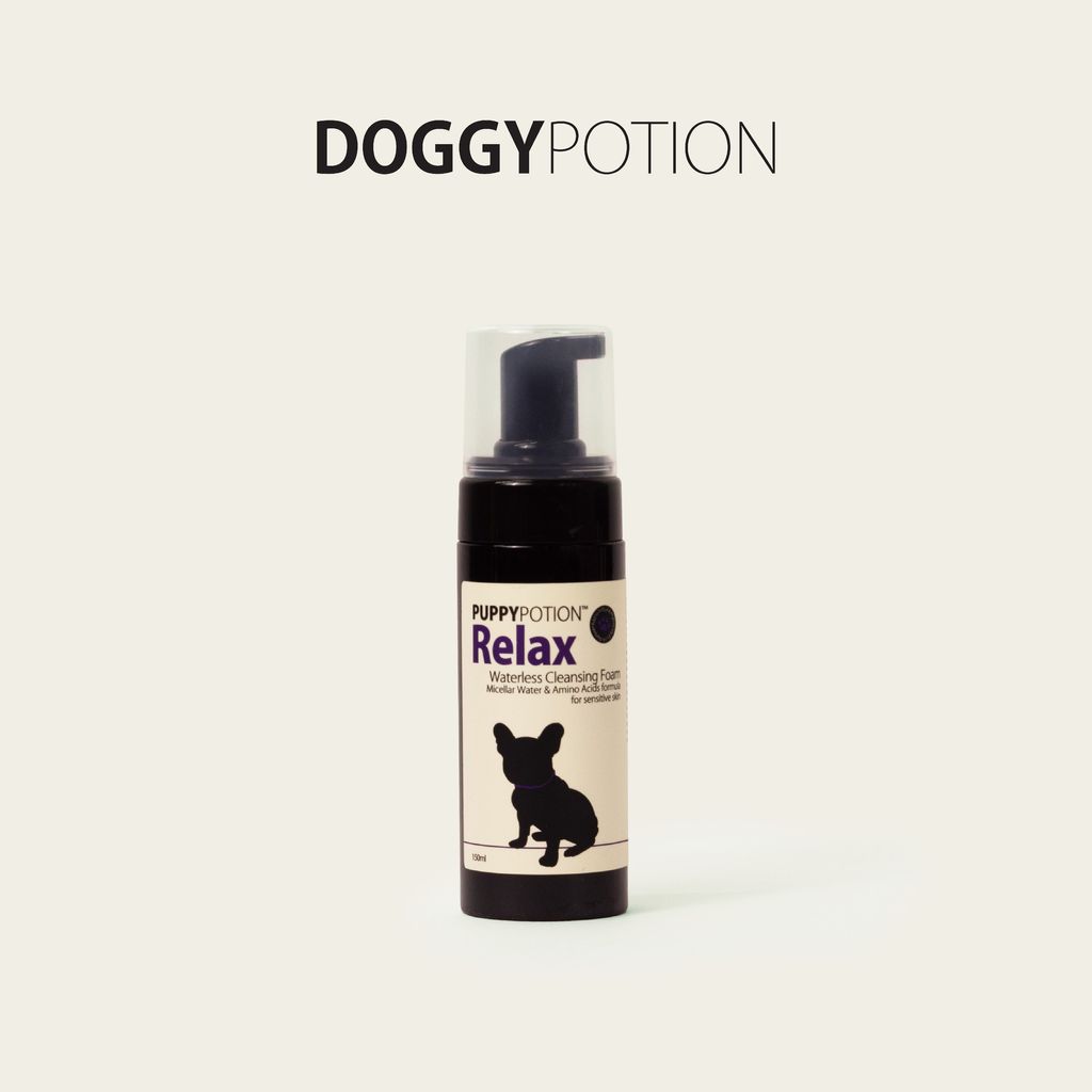 DOGGYPOTION_商品頁_relax商品照_2
