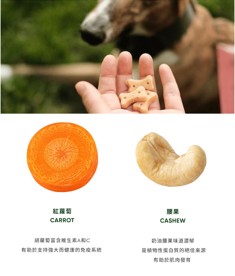 未命名設計