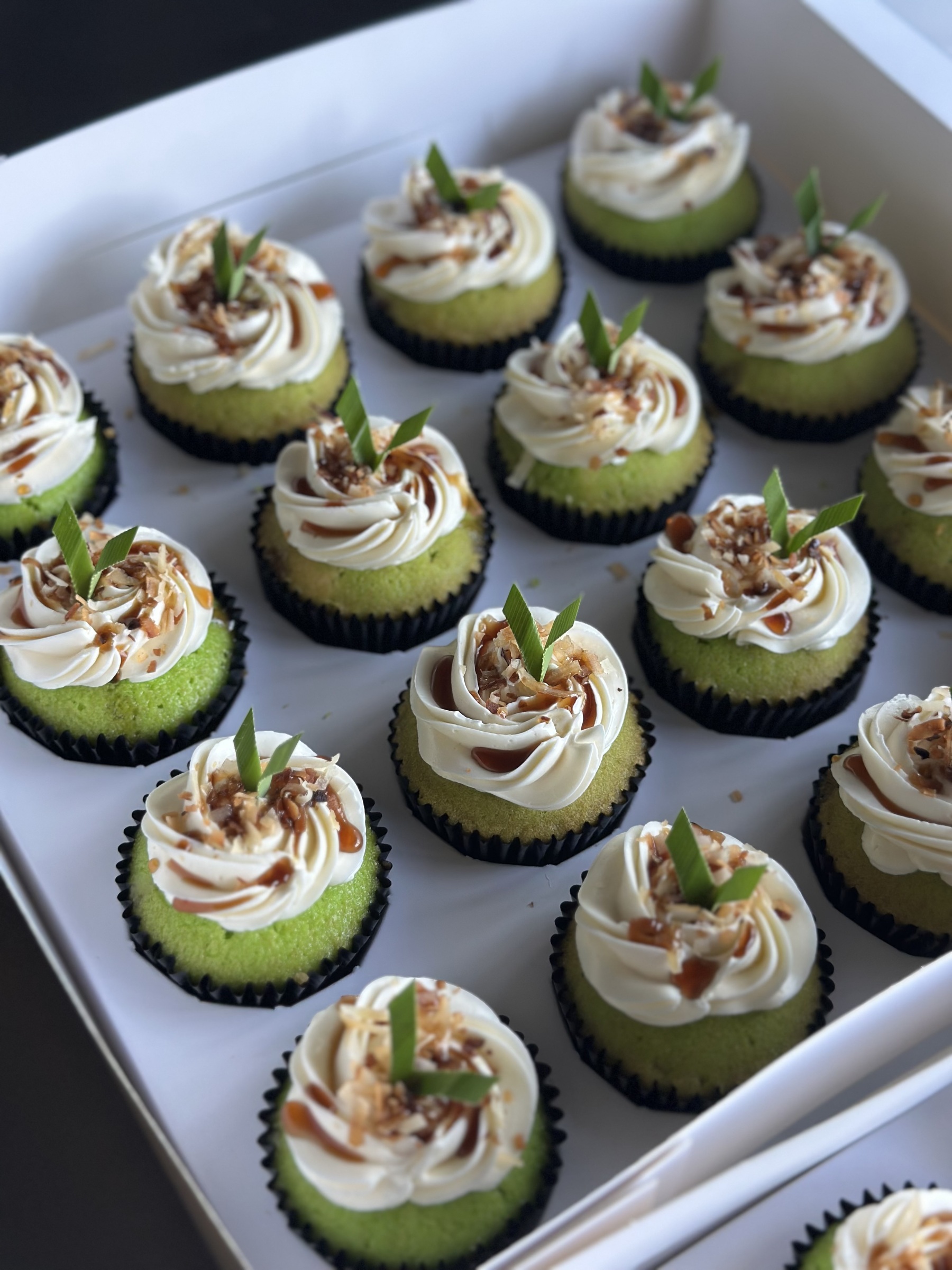 image_7F86C682-59E9-4EB9-9CE1-F06721AD9678_1772464092