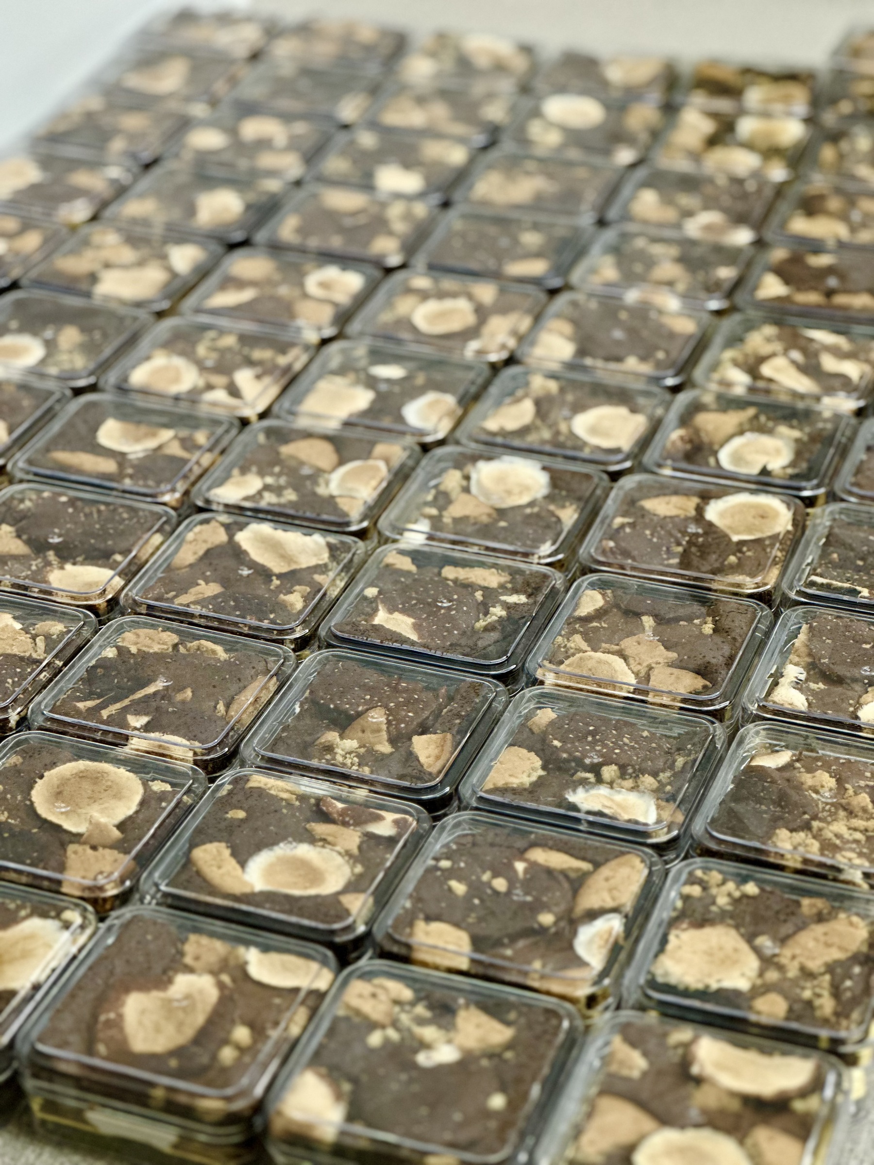 image_6310D4B2-DA7A-41F9-B3A1-B6B668A43CE7_1753008428