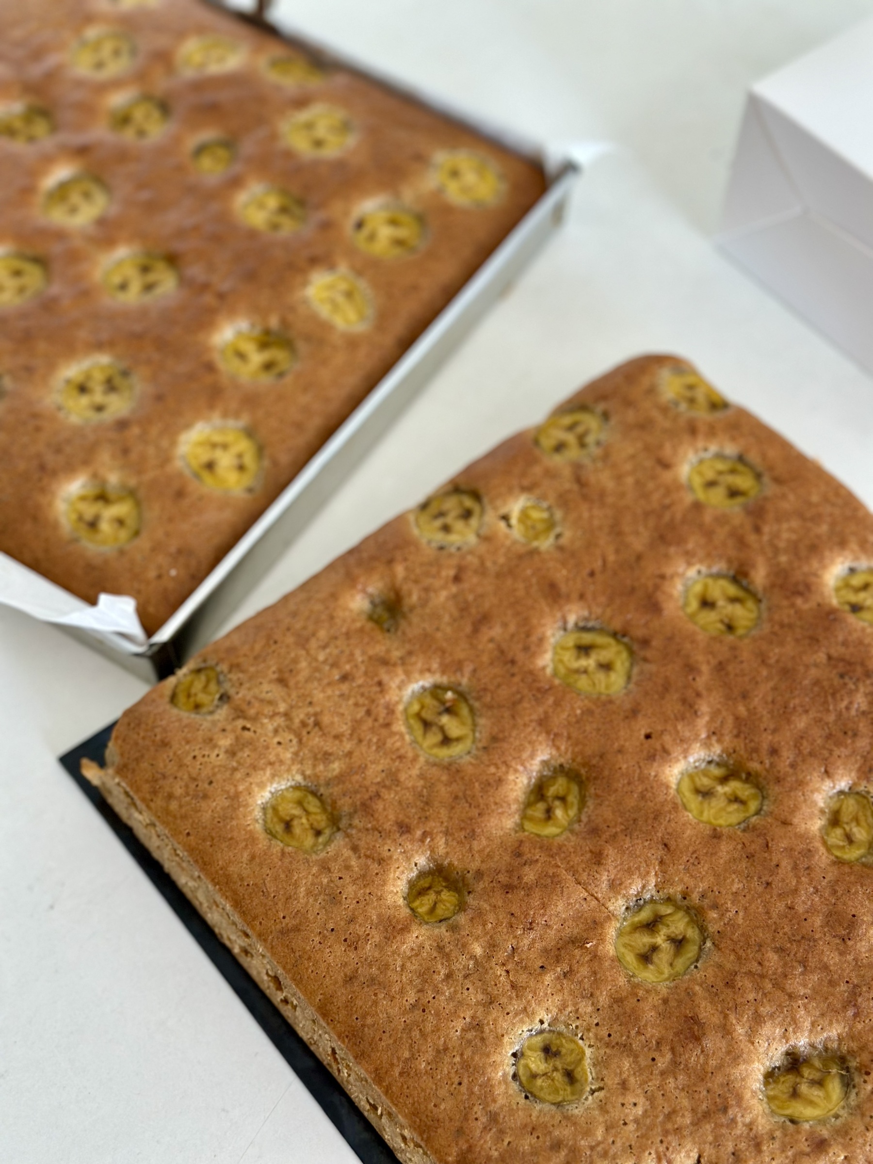 image_234832BA-CA67-46B9-85FC-BBA42D5E5FB1_1761729174