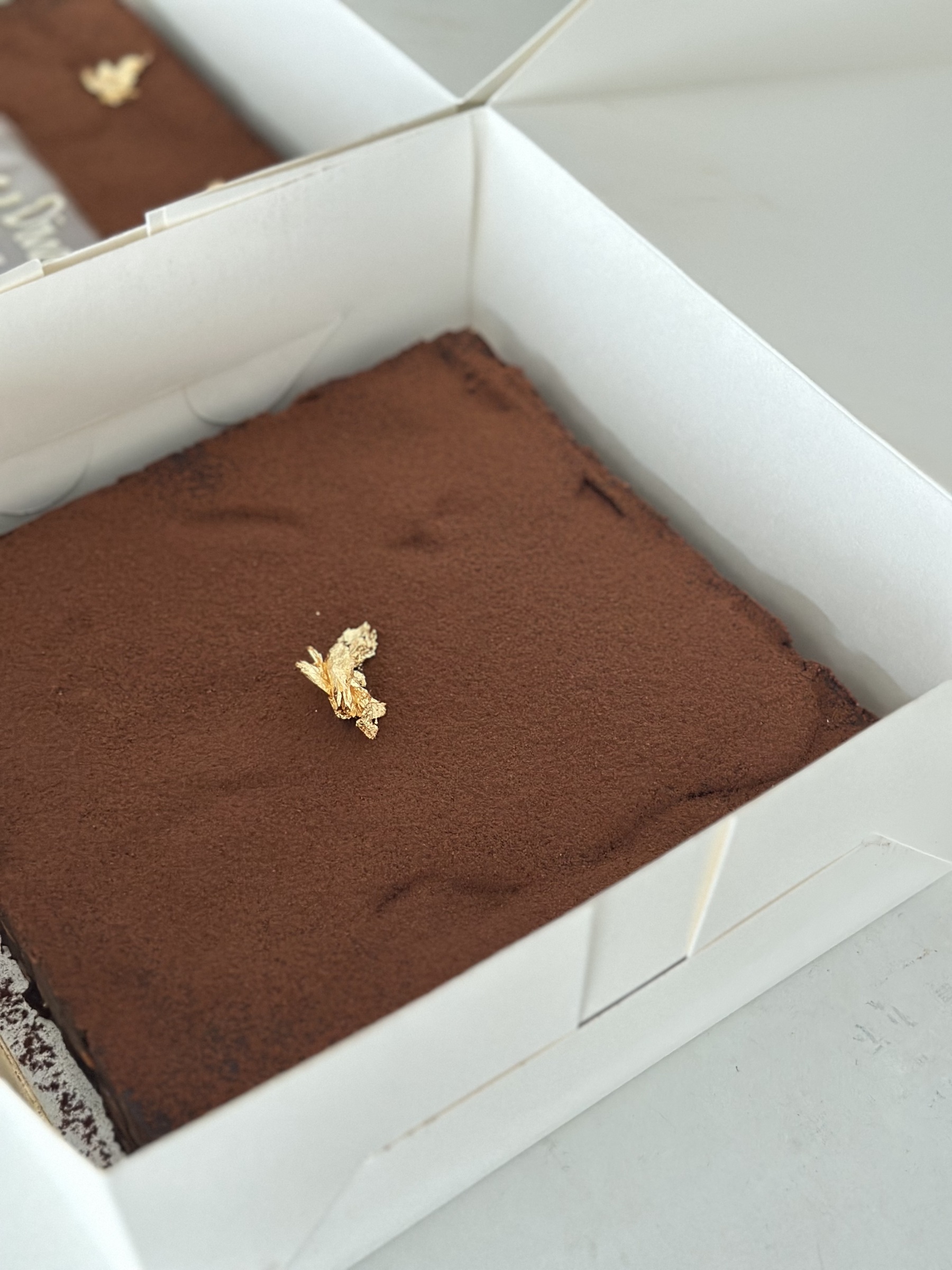 image_49CD4527-9DD9-4DB5-96EC-E16F0F8FE2AD_1762229787