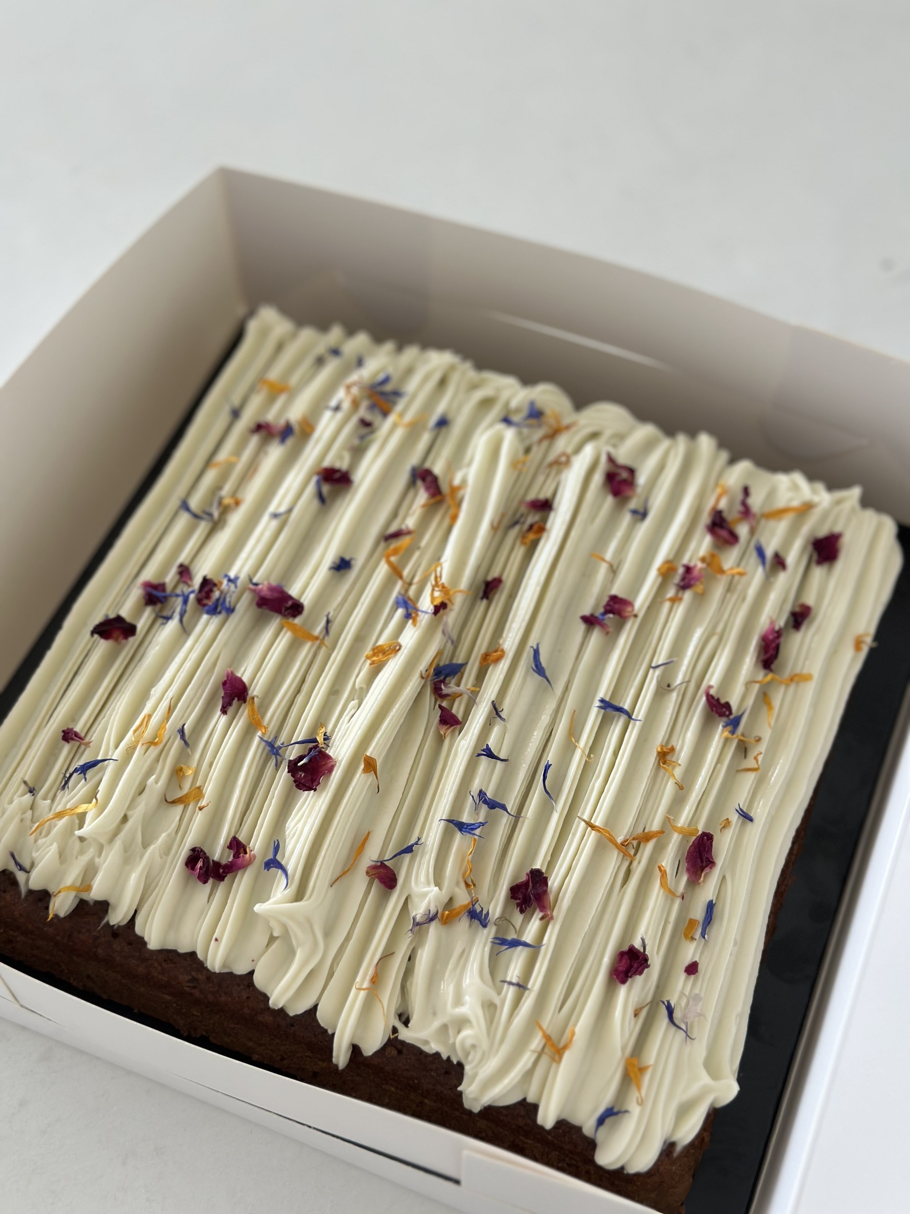 image_6C66CD4E-5088-459E-A645-2125182D4BF4_1763173715